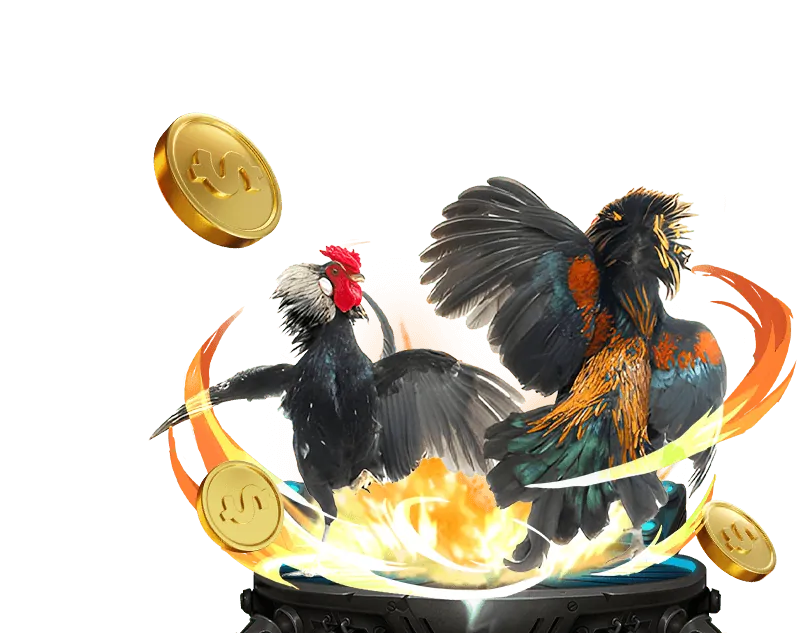 Cá cược thể thao với tỷ lệ cược cao