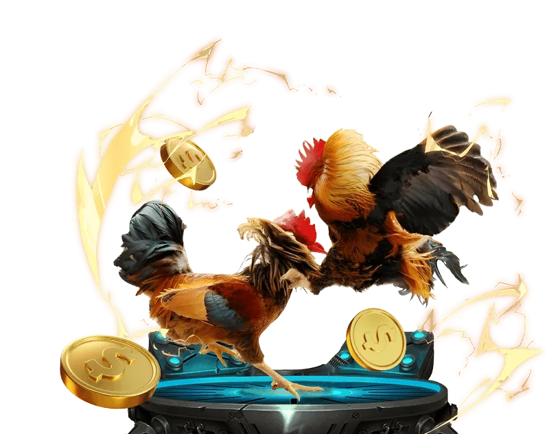 Đá gà trực tuyến độc quyền